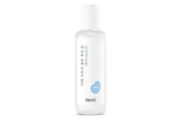 Toner, A Bottled Oasis For Your Skin 130ml
