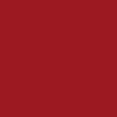 BROWNIE VELVET LIP TINT 4g