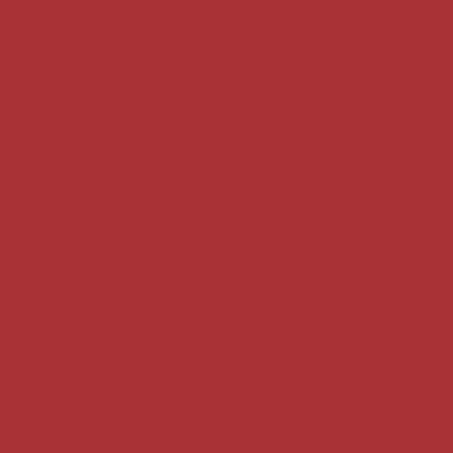 BROWNIE VELVET LIP TINT 4g